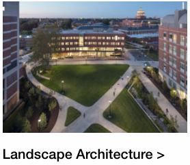 Our award-winning landscape architecture practice is one of the largest in the world, and driven by holistic, collaborative, environmentally responsible design. It has earned IBI Group recognition as an emerging global leader in the fields of landscape