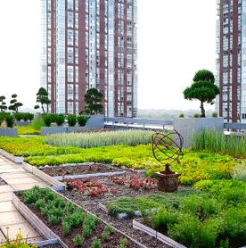 Green Roof Contractors and Consulting
